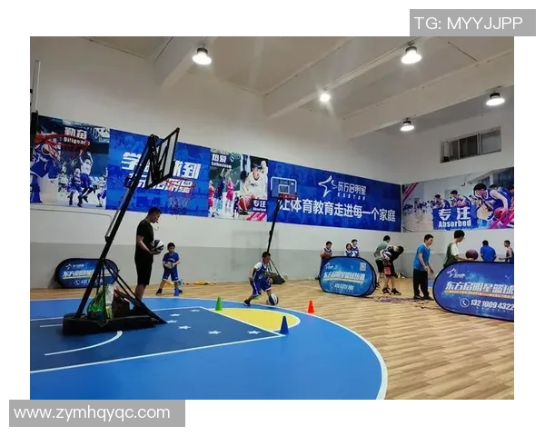 成都羽毛球队区域防守革新之路探秘与战术分析